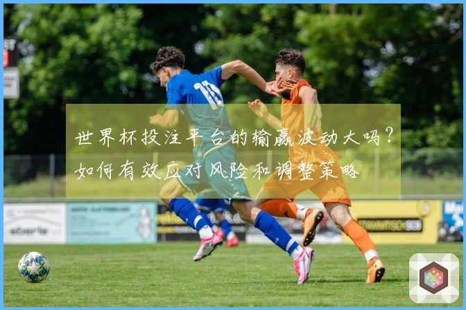 世界杯投注平台的输赢波动大吗？如何有效应对风险和调整策略