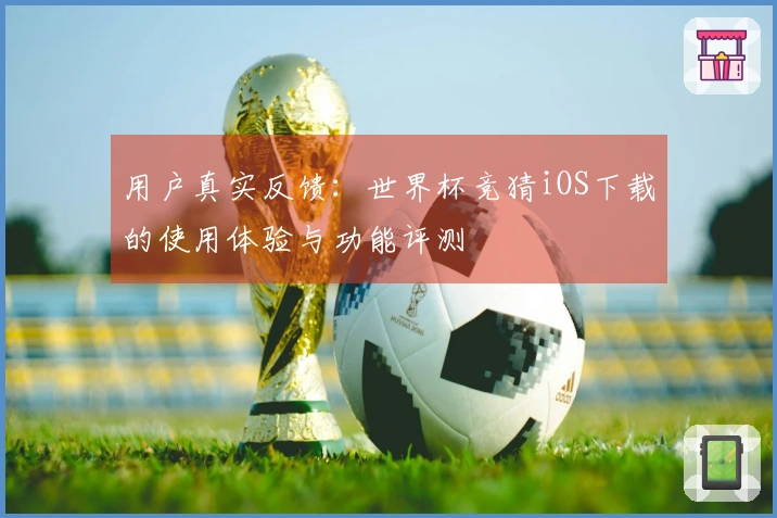 用户真实反馈：世界杯竞猜iOS下载的使用体验与功能评测