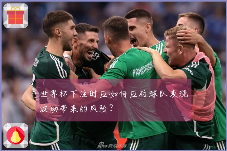 世界杯下注时应如何应对球队表现波动带来的风险？