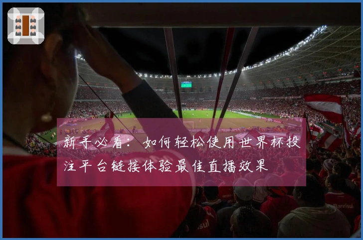新手必看：如何轻松使用世界杯投注平台链接体验最佳直播效果