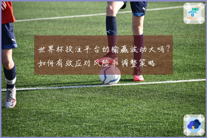 世界杯投注平台的输赢波动大吗？如何有效应对风险和调整策略